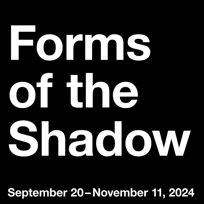 Ausstellung "Forms of the Shadow"